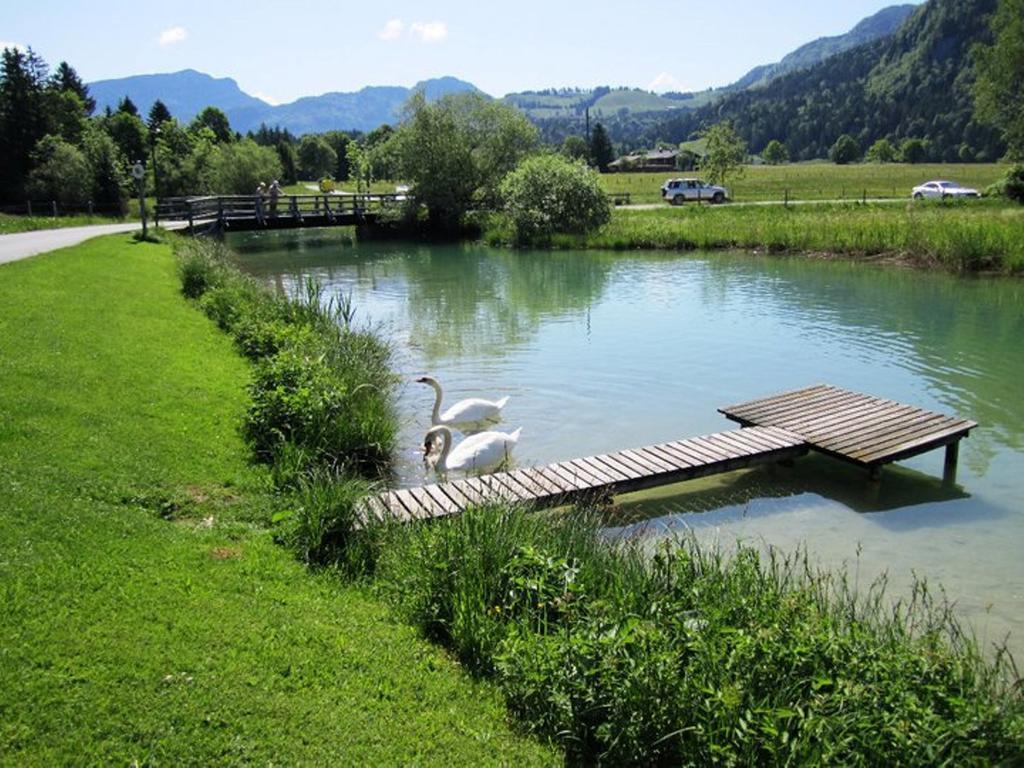 Apartamento Pension Essbaum Walchsee Exterior foto